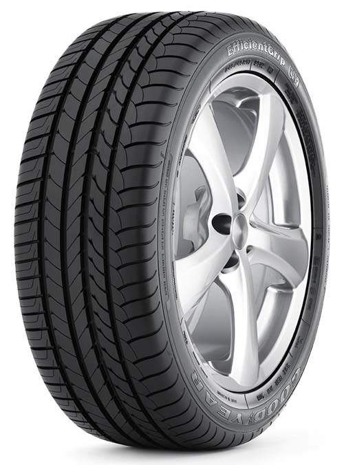 Informacin de GOODYEAR EFFICIENTGRIP, 205 / 55 16 - 91W